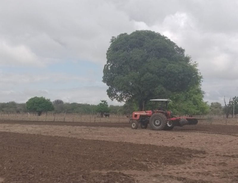 Secretaria de Agricultura realiza distribui��o de sementes e inicia corte de terras nas comunidades rurais