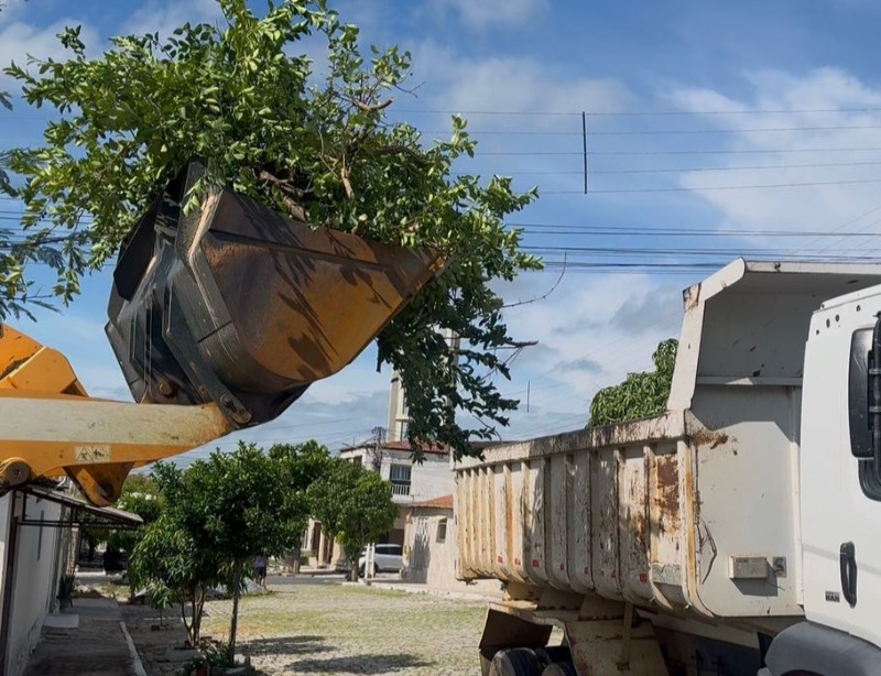 Prefeitura de V�rzea intensifica a��es de limpeza e refor�a medidas preventivas � popula��o durante per�odo chuvoso